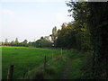 Bridleway beside Oaken Wood