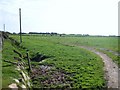 Path southwards towards Bryn-cynan