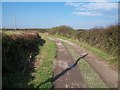 View north along the Bryn-cynan access track