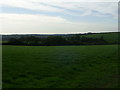 Farmland near Bethesda