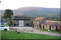 Sheep waiting for something at Deepclough Farm