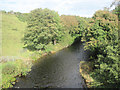 Afon Seiont from A4085 bridge