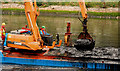 Dredging the River Lagan, Belfast -  2010/11 (27)