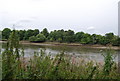 River Thames north of Barnes