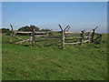 TQ4905 : Animal Pen along South Downs Way by Oast House Archive