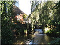 Mill race at Hempstead Mill Uckfield