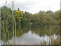 View across the Thames from near Windsor