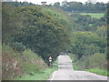 SY3092 : The road down Combpyne Hill by Sarah Charlesworth