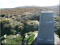 SW4740 : Trig point on the SWCP at Trevega Cliff by Jeremy Bolwell