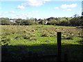 Footpath to New Mill