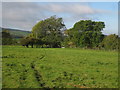 Footpath from Selmeston