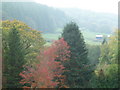 Autumn colours in the Clywedog Valley near Llanidloes