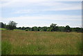 Field west of Bough Beech Reservoir