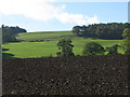 NY9068 : Farmland north of Warden Hill by Mike Quinn