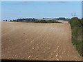 Stubble field near Salisbury District Hospital