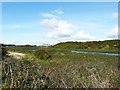 Siddick Ponds Nature Reserve