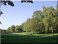 Swindon golf course, Staffordshire