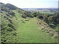 Chalk downland above Postling