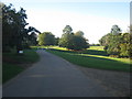 In Windsor Great Park (1)