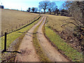 Track to Tump Farm