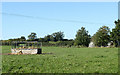 2010 : Cattle feeder in field west of Day