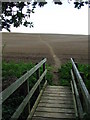 Footpath And Bridge