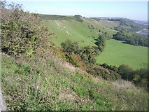 TR1938 : Folkestone White Horse from the North Downs Way by Marathon