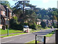 Silverdale Avenue, Oxshott