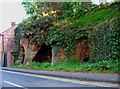 Caves by Wilden Lane, Stourport-on-Severn