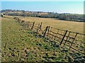 Fence near Llantilio Crossenny