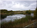 An old quarry turned into a pond near Cutsyke