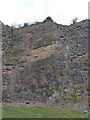 Grid Iron wall, Llanymynech quarries