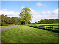 The B1140 road past paddock by Burlingham Lodge Farm