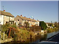 Houses backing onto the canal