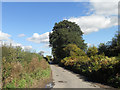 Lane near Moat Farm