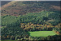 Above the Vale of Ewyas