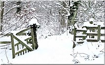 NU1228 : Winters Gate by Alfie Tait