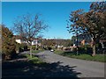 Sunny Suburbia -Bents Green Road, Bents Green, Sheffield