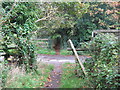 Saxon Shore Way crosses the access road to Lympne Place