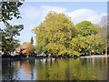 The boating lake at West Park, Wolverhampton