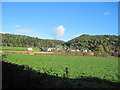 Llangedwyn village from craft centre