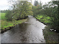 Afon Tanat downstream