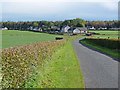 National Cycle Network route 74 approaching Hollee