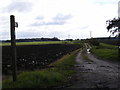 Footpath to Broad Oak Farm