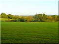 The Severn floodplain and the Malvern Hills