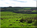 Rough pastures between Middle House and Settlingstones