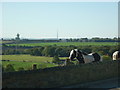 Looking towards Emley Moor mast