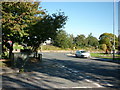 Dale Street towards Wakefield Road from Knoll Close