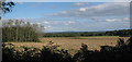 Crop field off Hundred Acre Lane