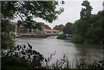 TQ1675 : The southern end of Isleworth Ait by N Chadwick